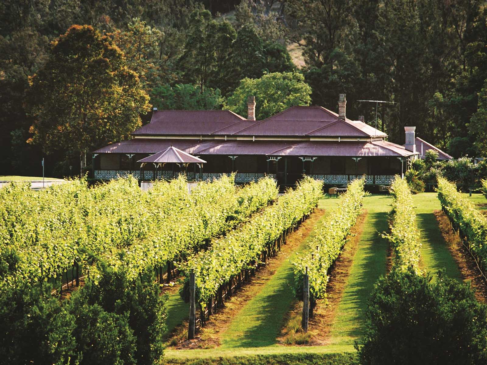 scenic rim winery tours